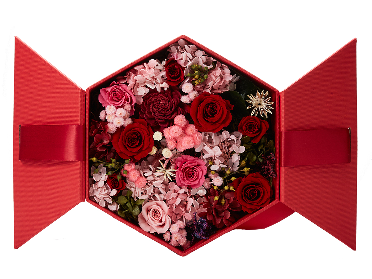 Box Premium6