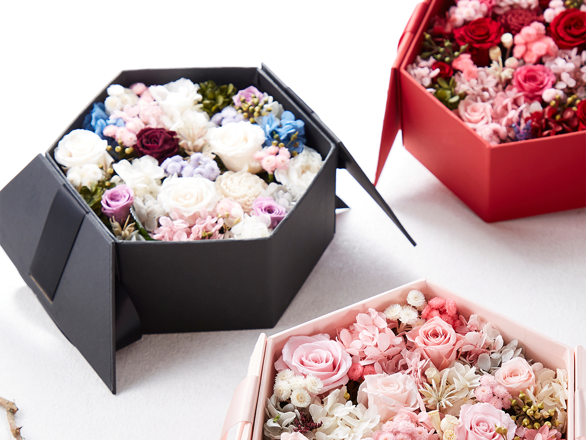 Box Premium6