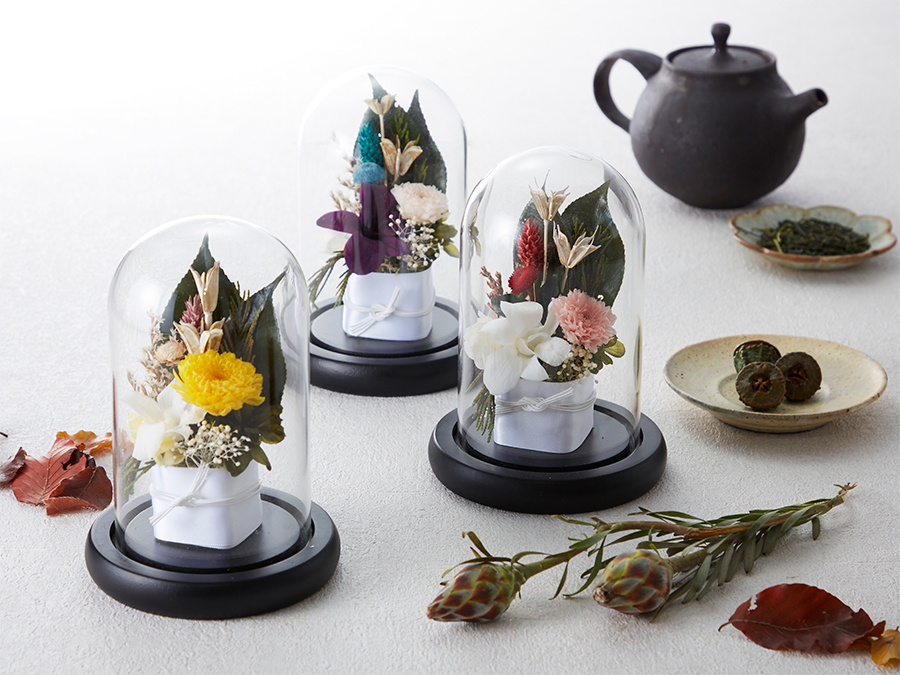 仏花 デンファレ