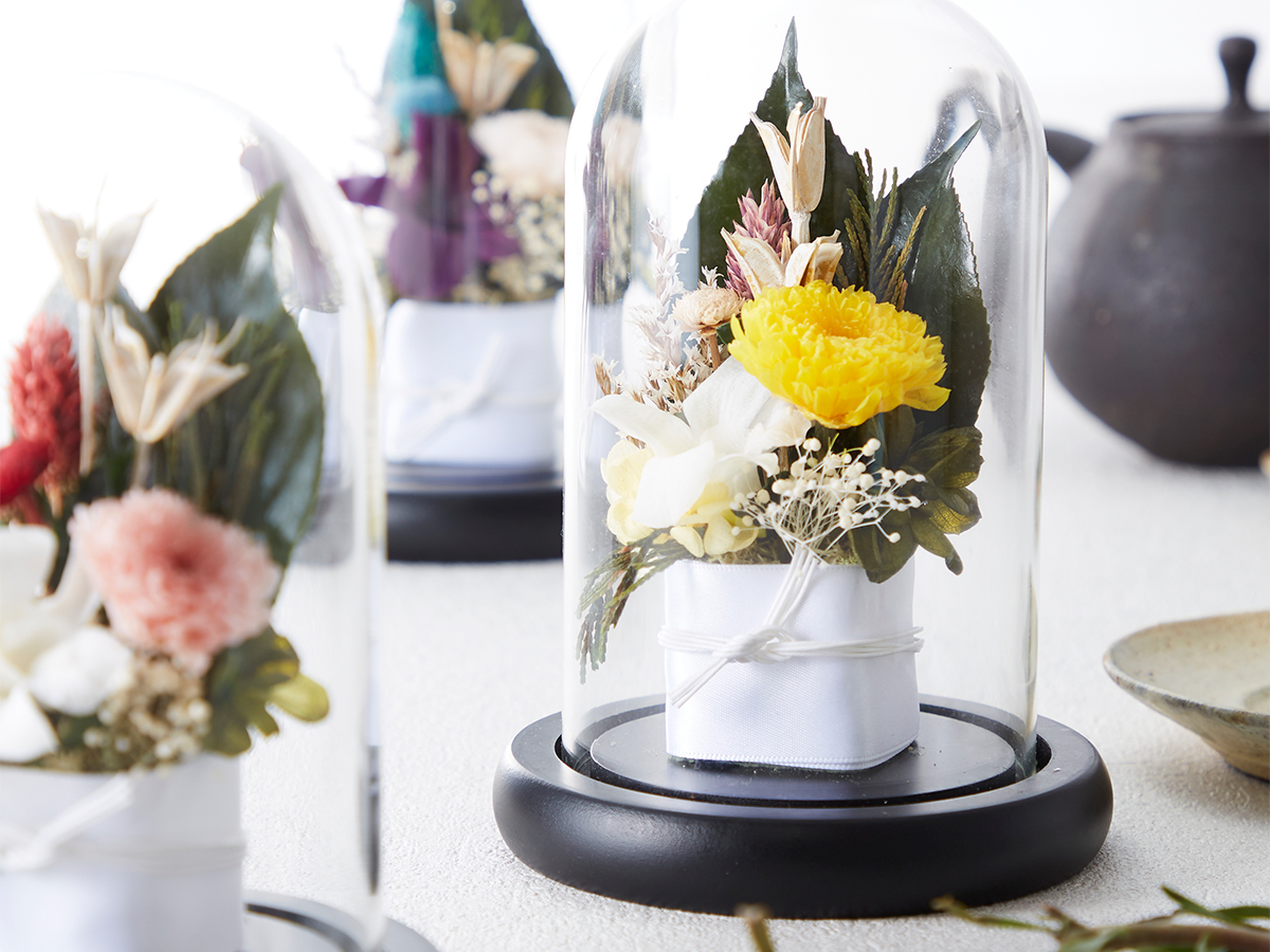 仏花 デンファレ