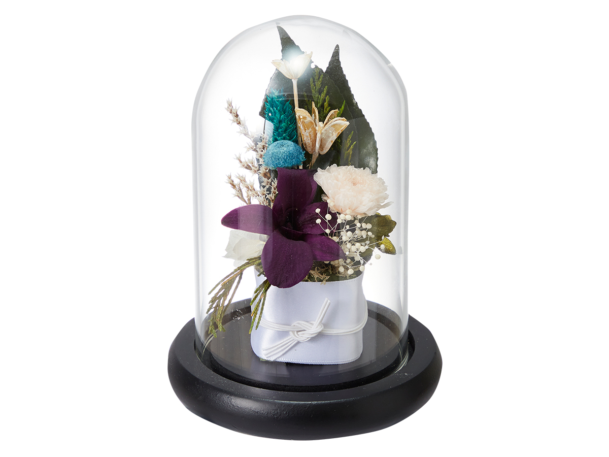 仏花 デンファレ