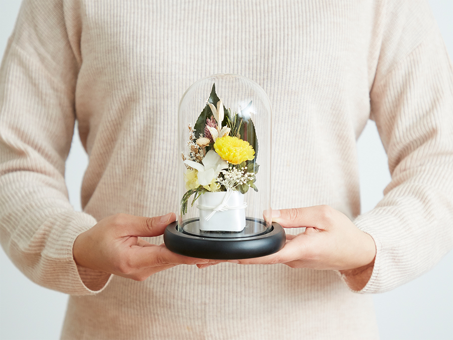 仏花 デンファレ