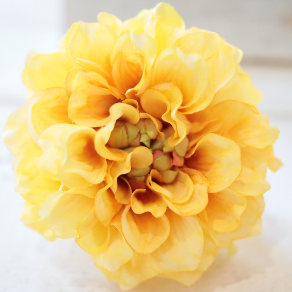 選べるカラー２個セット ほっこりダリア髪飾り　おまかせBOX付き