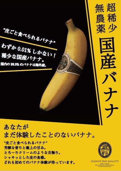無農薬宮崎産バナナ「NEXT716」レギュラーサイズ6本セット