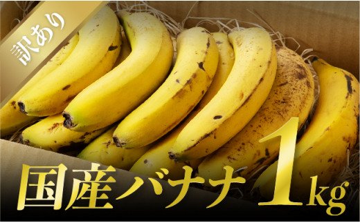 無農薬宮崎産バナナ「NEXT716」1kg詰め合わせ