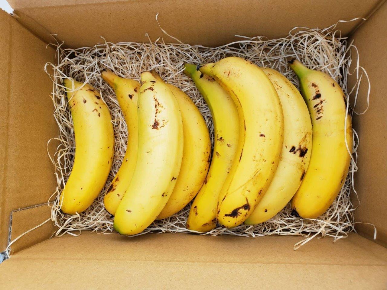 無農薬宮崎産バナナ「NEXT716」と「皮ごとバナナジャム」のセット 