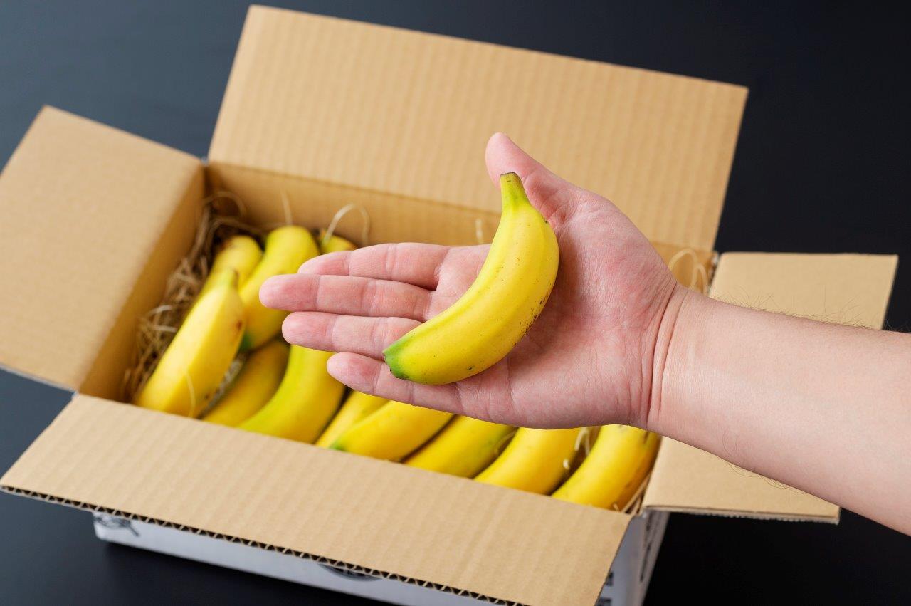 宮崎バナナ「NEXT716」のプレゼント・ギフト通販　無農薬宮崎産バナナ「NEXT716」ミニバナナ1kg詰め合わせ　TANP（タンプ）