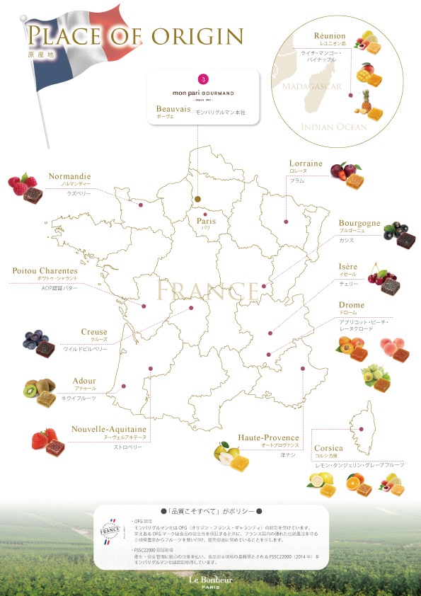 フランス直輸入 パート・ドゥ・フリュイ (12粒)