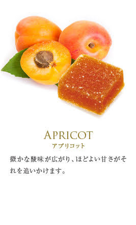 フランス直輸入 パート・ドゥ・フリュイ (12粒)