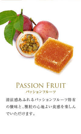 フランス直輸入 パート・ドゥ・フリュイ (12粒)