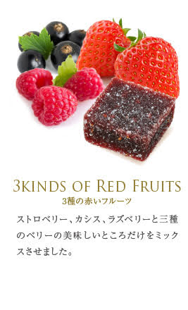 フランス直輸入 パート・ドゥ・フリュイ (12粒)