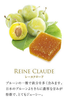 フランス直輸入 パート・ドゥ・フリュイ (12粒)