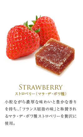 フランス直輸入 パート・ドゥ・フリュイ (12粒)