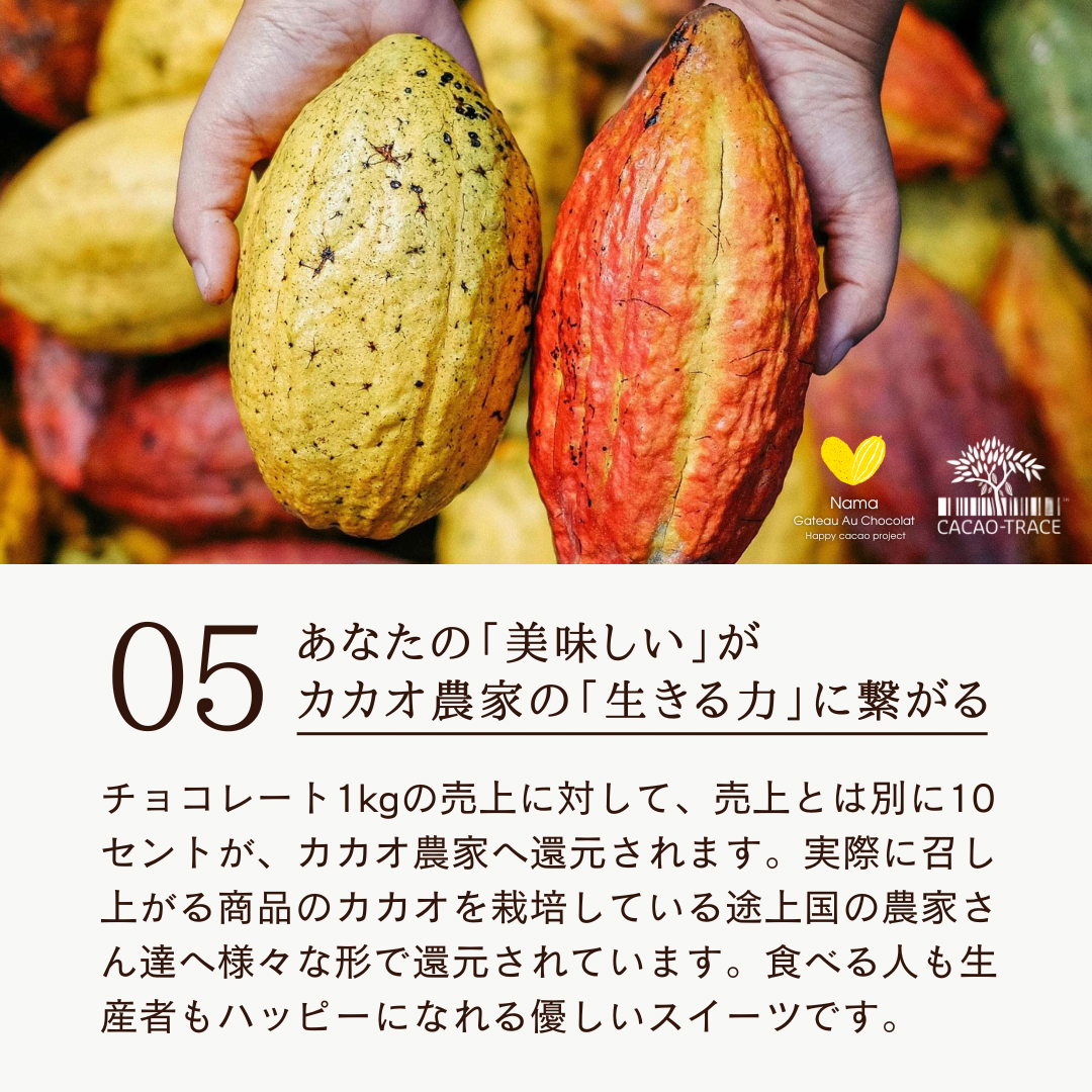 幸せの生ガトーショコラ　ギフトサイズ