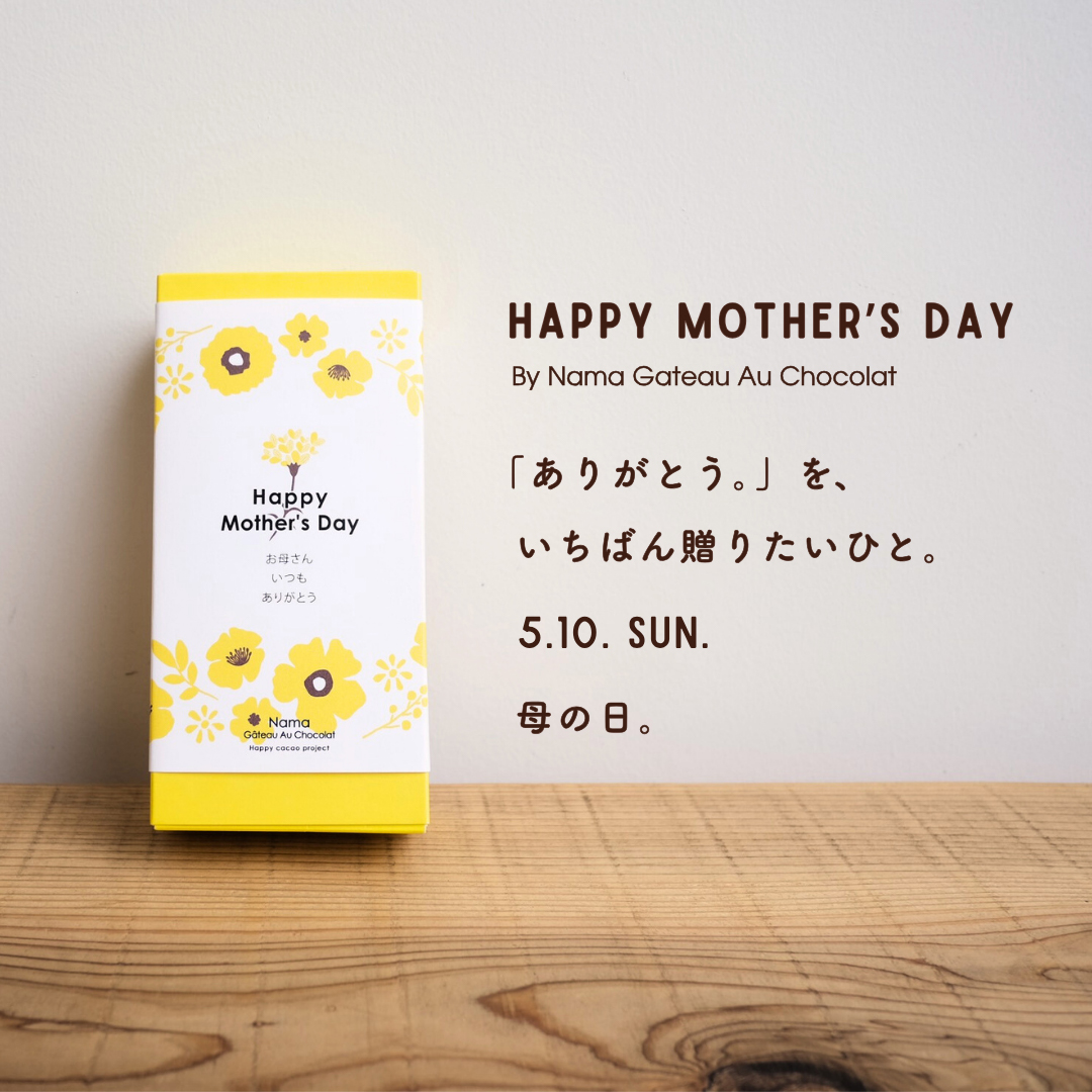 【母の日の贈り物や春ギフトに】幸せの生ガトーショコラ　ギフトサイズ