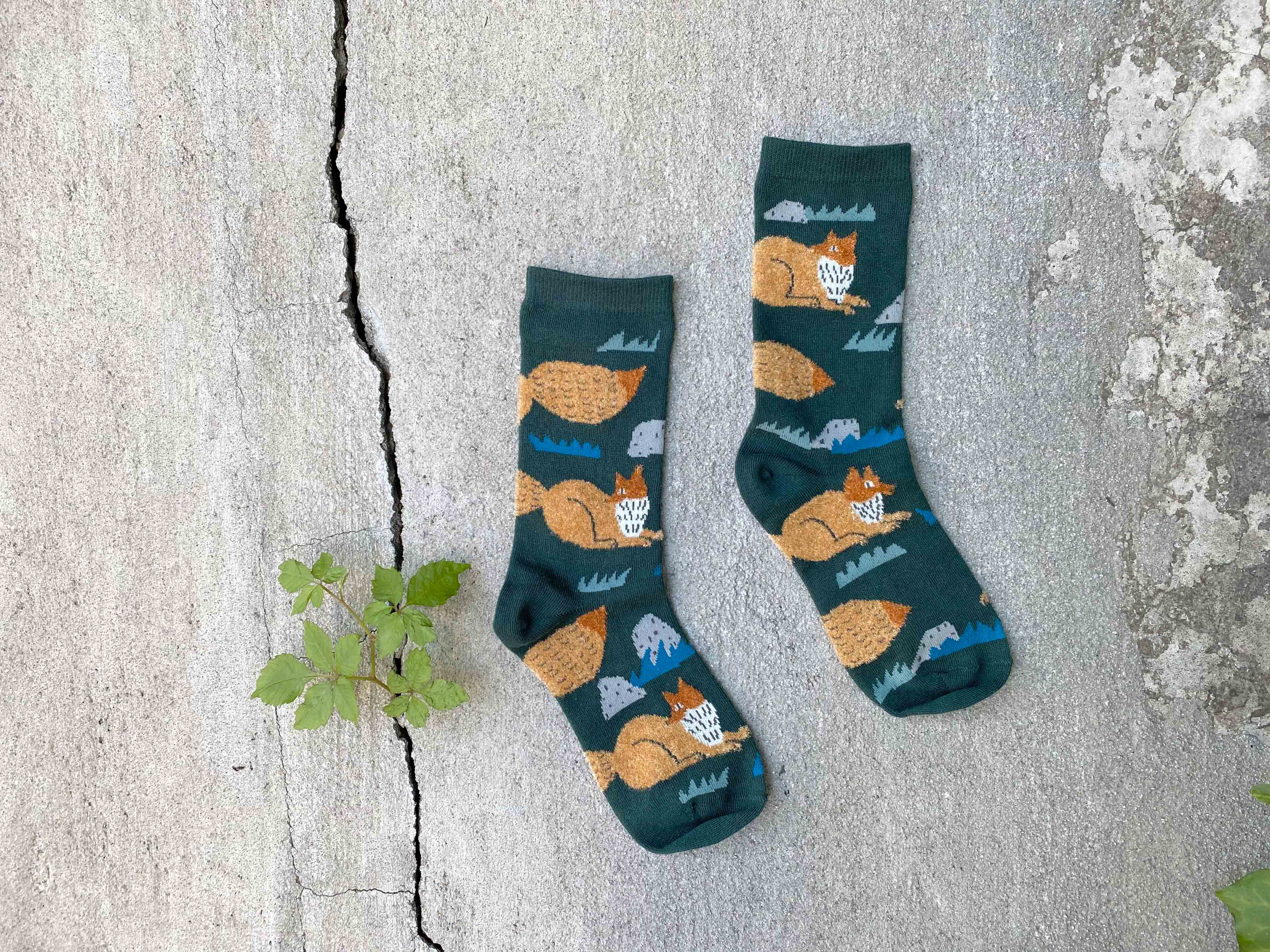 【Love Nature Save Animals by Miyuki Matsuo】松尾ミユキ ソックス