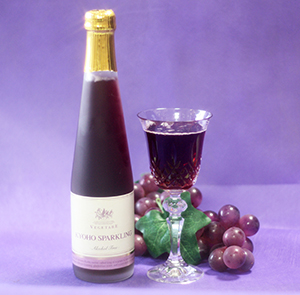 ノンアルコール巨峰1＆りんご2スパークリング（ハーフボトル）3本セット 【化粧箱入り】