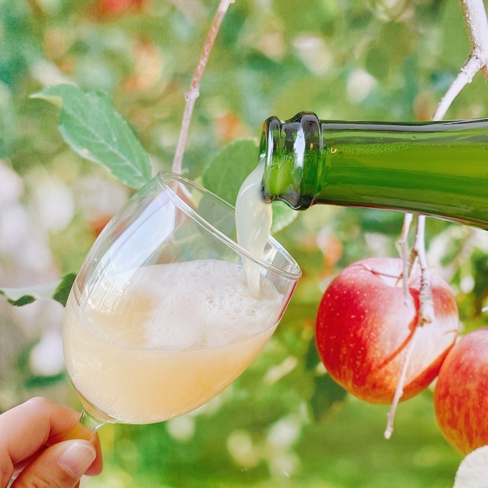 ノンアルコールシードル（ハーフボトル）2本セット【化粧箱入り】