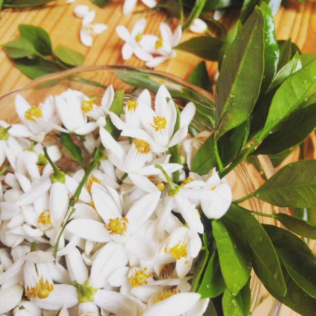 スペシャルバスタイムギフト