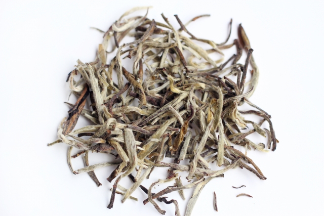 スペシャルバスタイムギフト