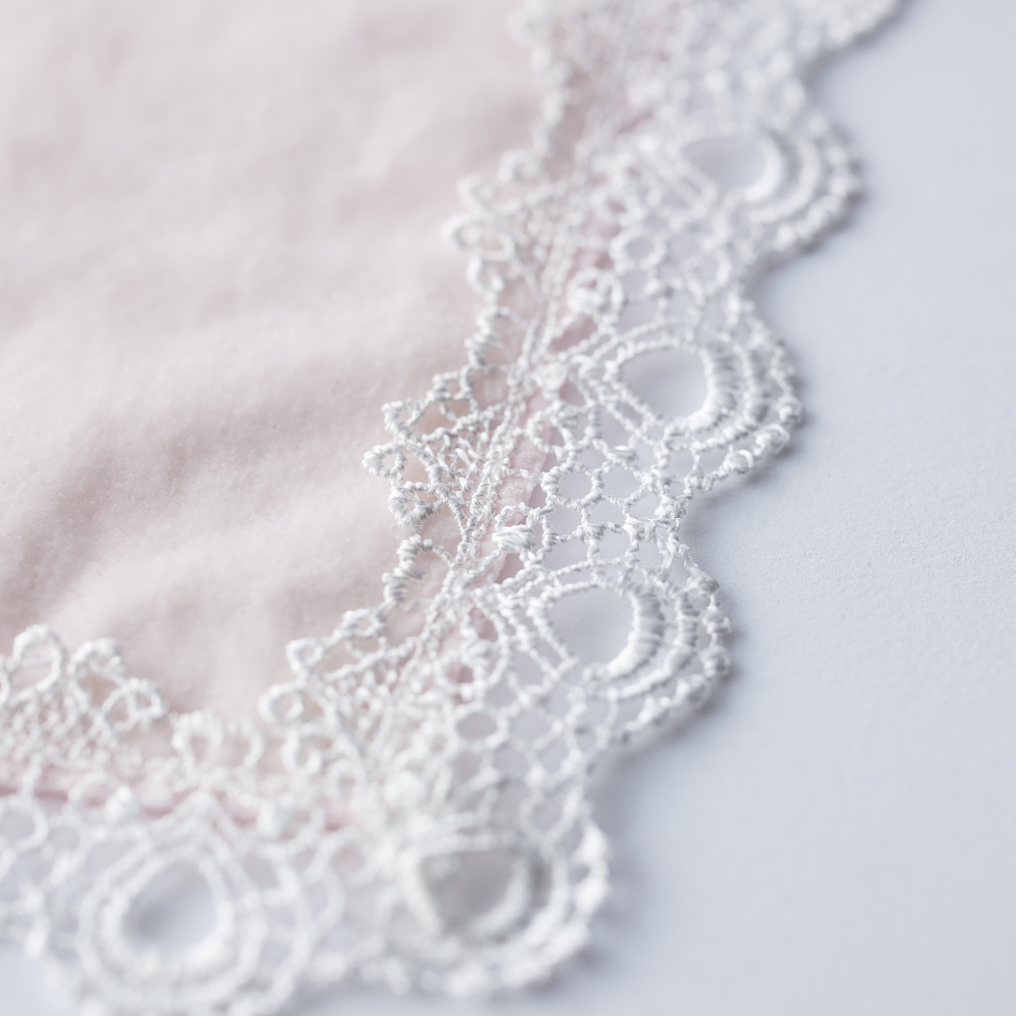 【ホワイトデー】タンプ限定セット "春のチーズケーキ＆タオルハンカチ選べる2枚"