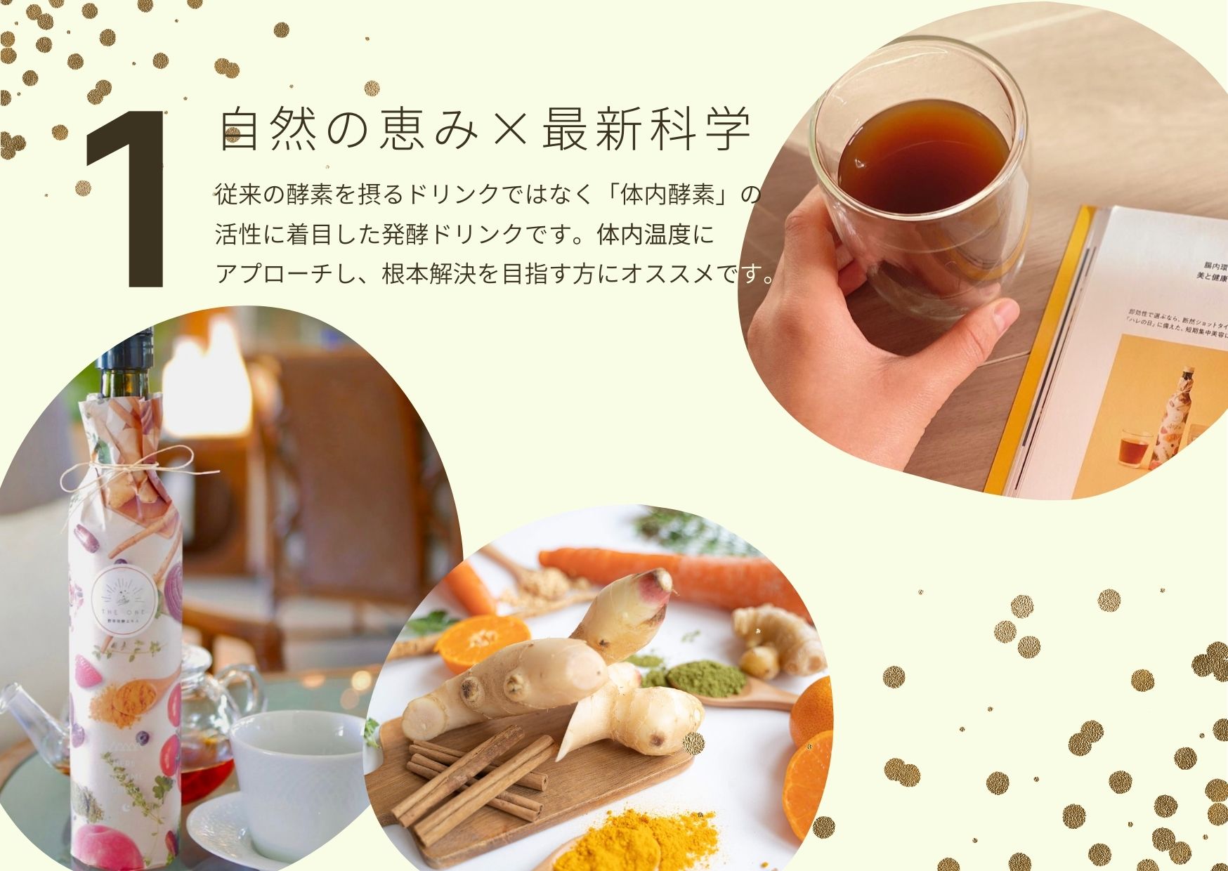 野草発酵エキスセット（専用ハーブティー付き）