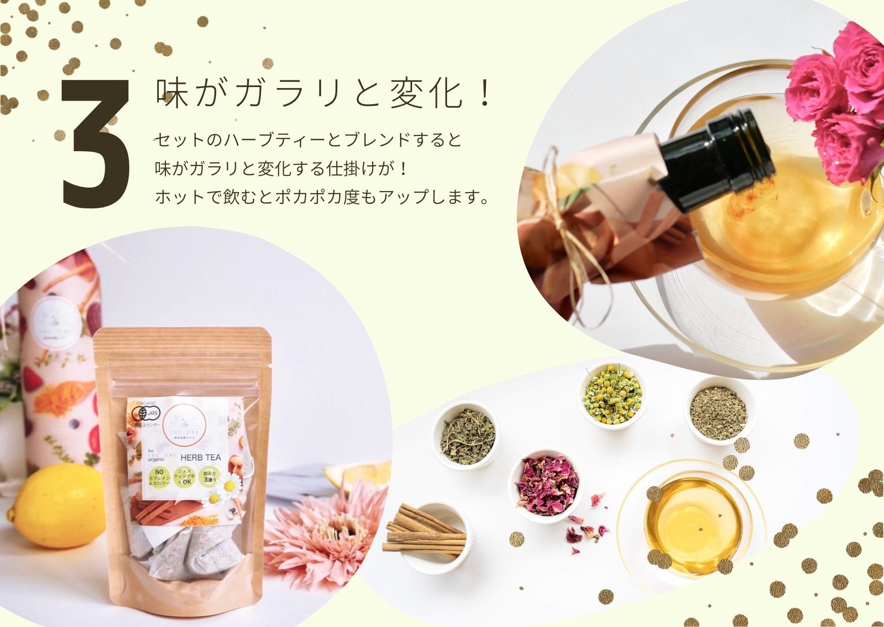 野草発酵エキスセット（専用ハーブティー付き）