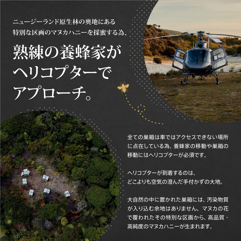 マヌカハニー MGO500+