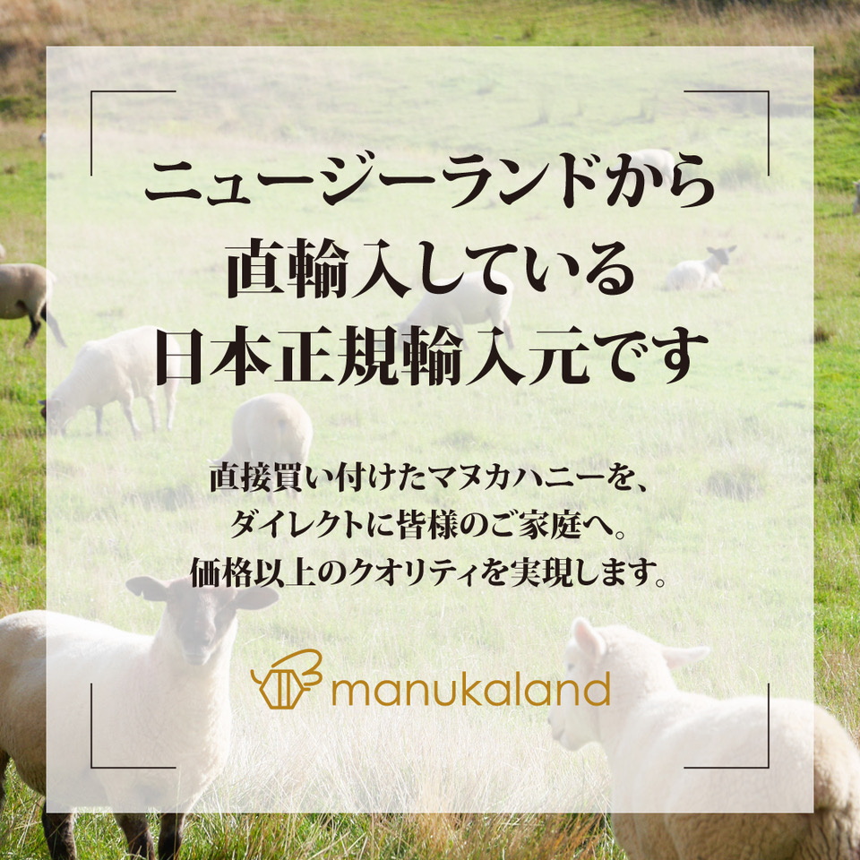 マヌカハニー MGO500+