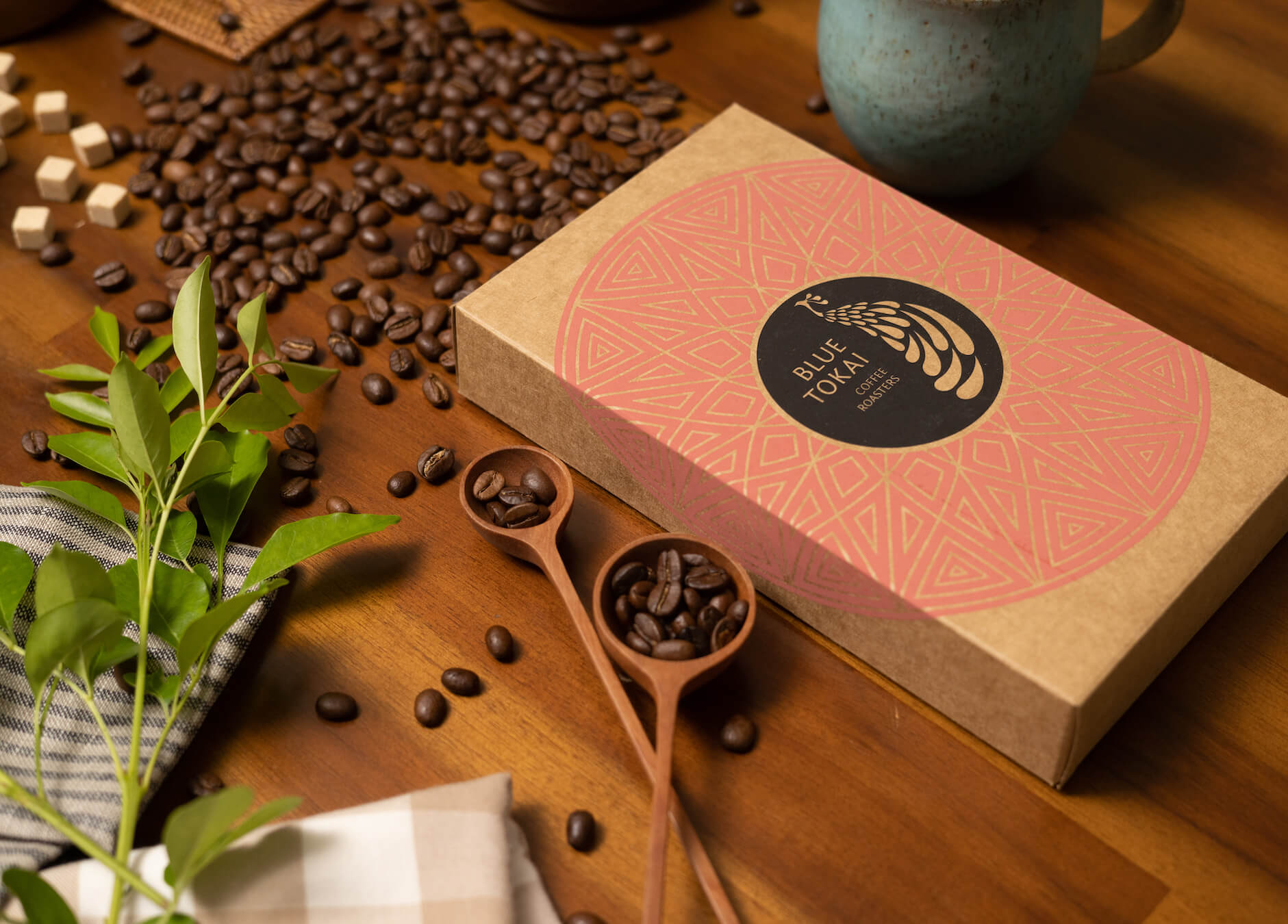 インド産 スペシャルティコーヒー75g 5個セット