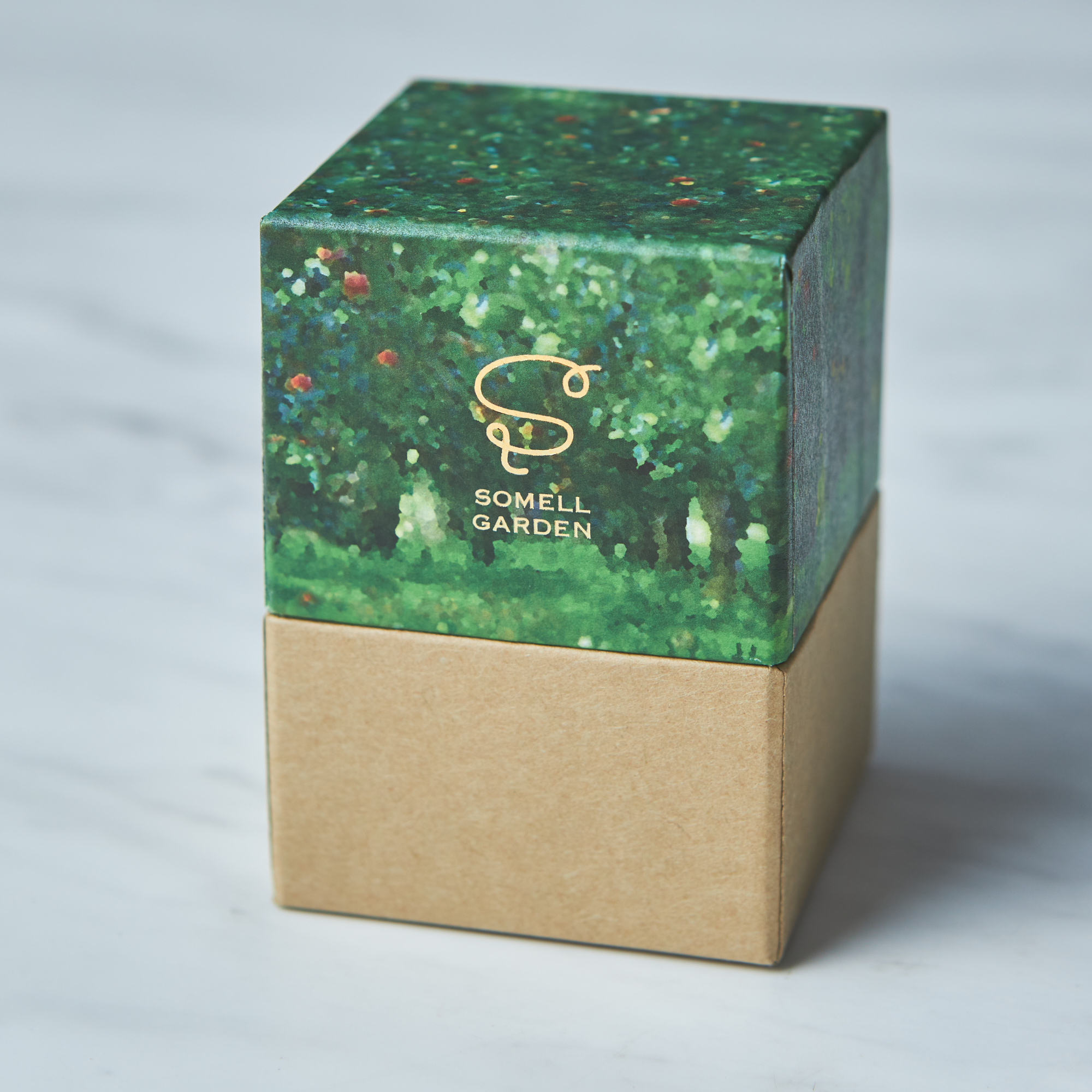 熊野筆フェイスブラシ LEMON×WALNUT（レモン×ウォ―ルナット）