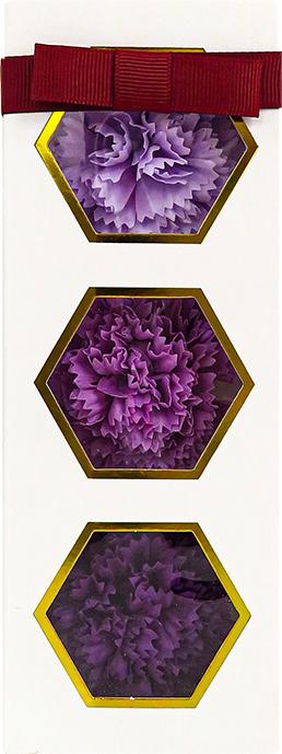 【タンプ限定】カーネーション入浴剤&リラックス体験チケットセット