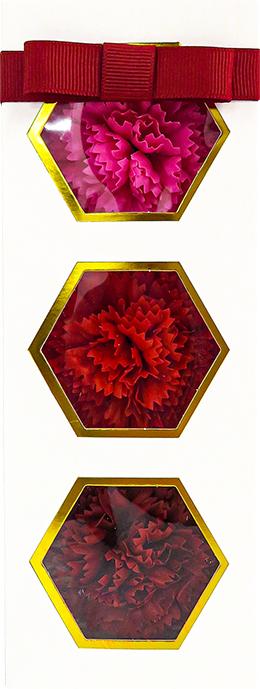 【タンプ限定】カーネーション入浴剤&リラックス体験チケットセット