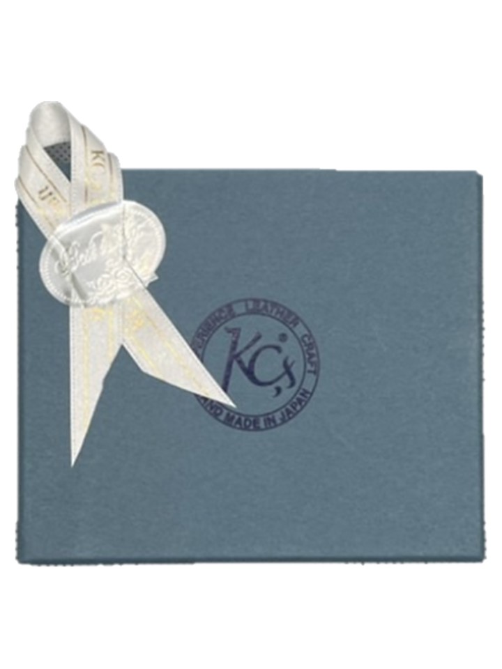 キーカバー バーンスター コードバン 2色セット