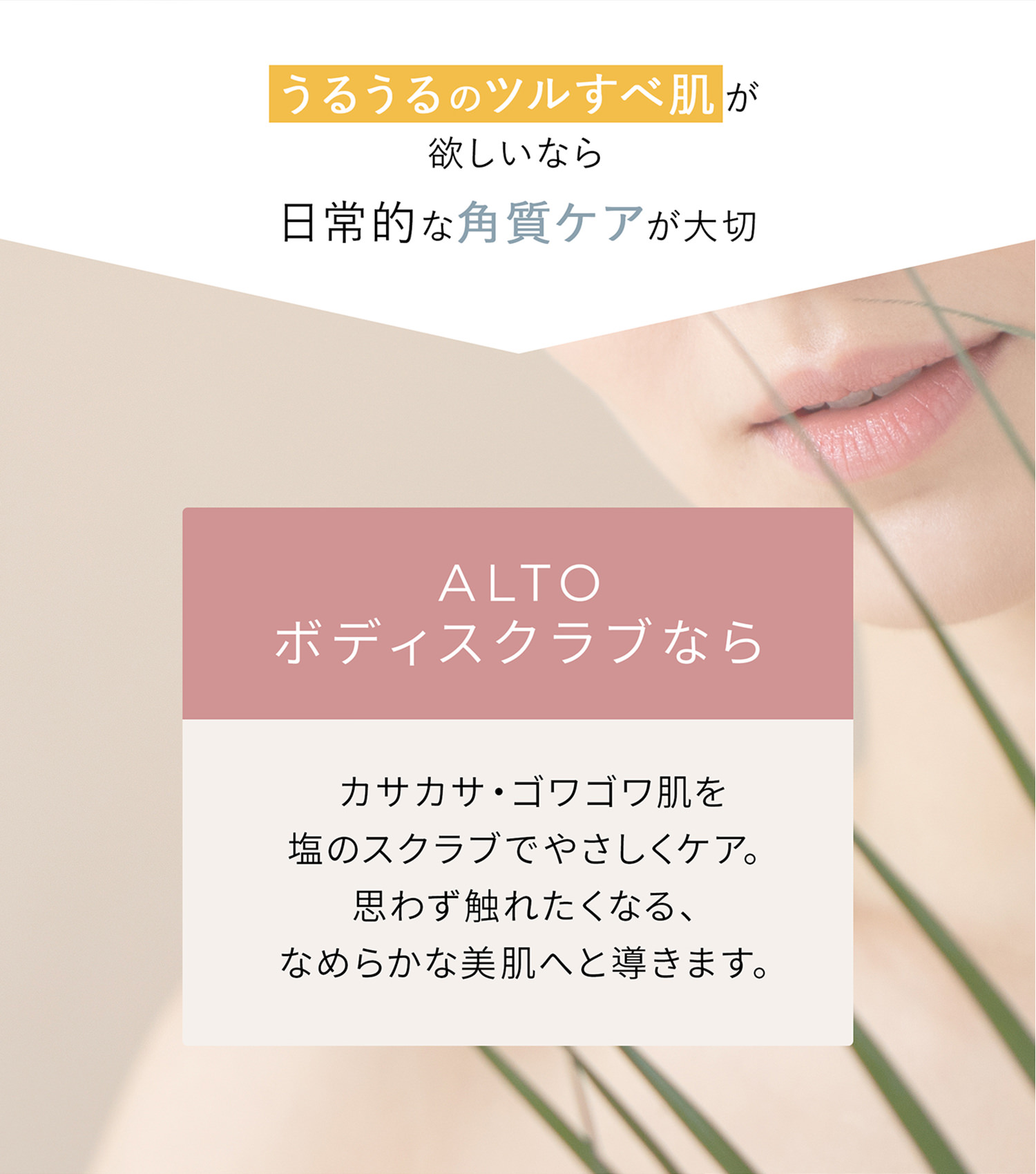 ALTO ボディスクラブ 200g