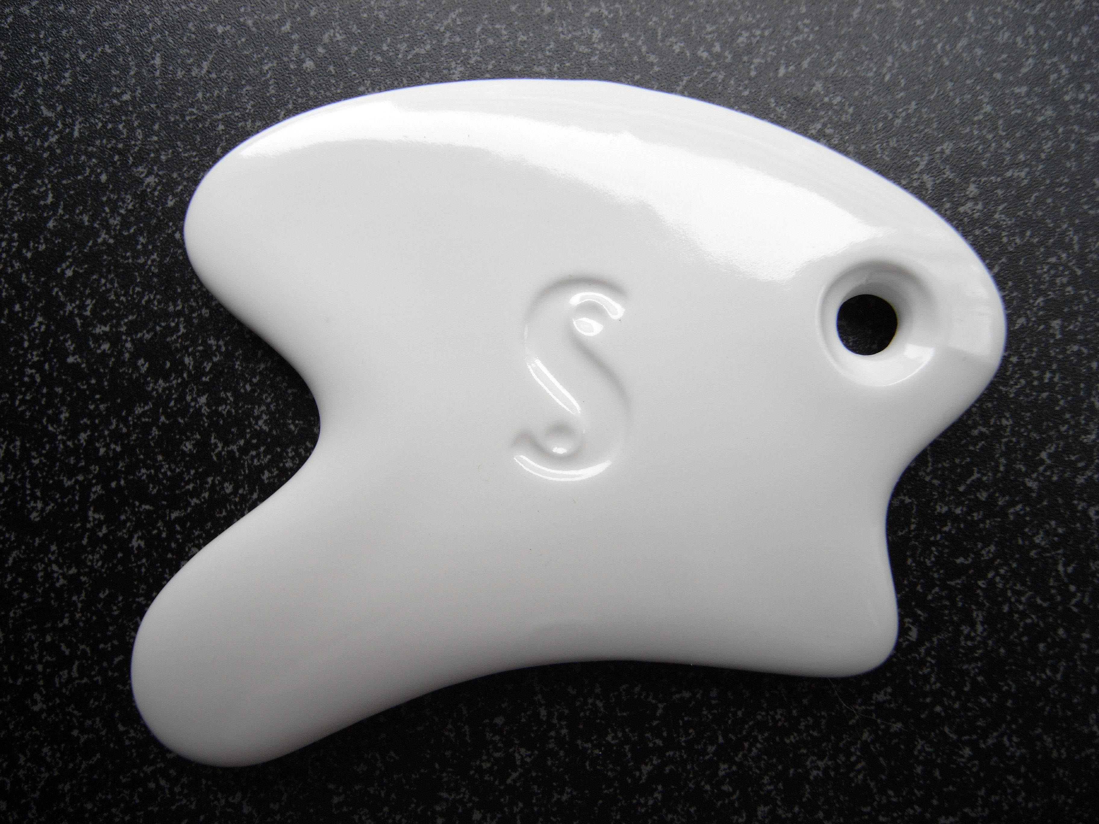 カッサプレート