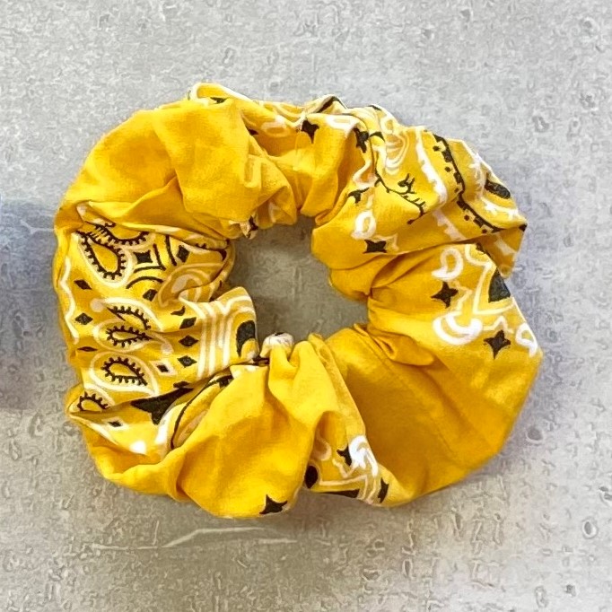 コインケース＆バンダナシュシュSET