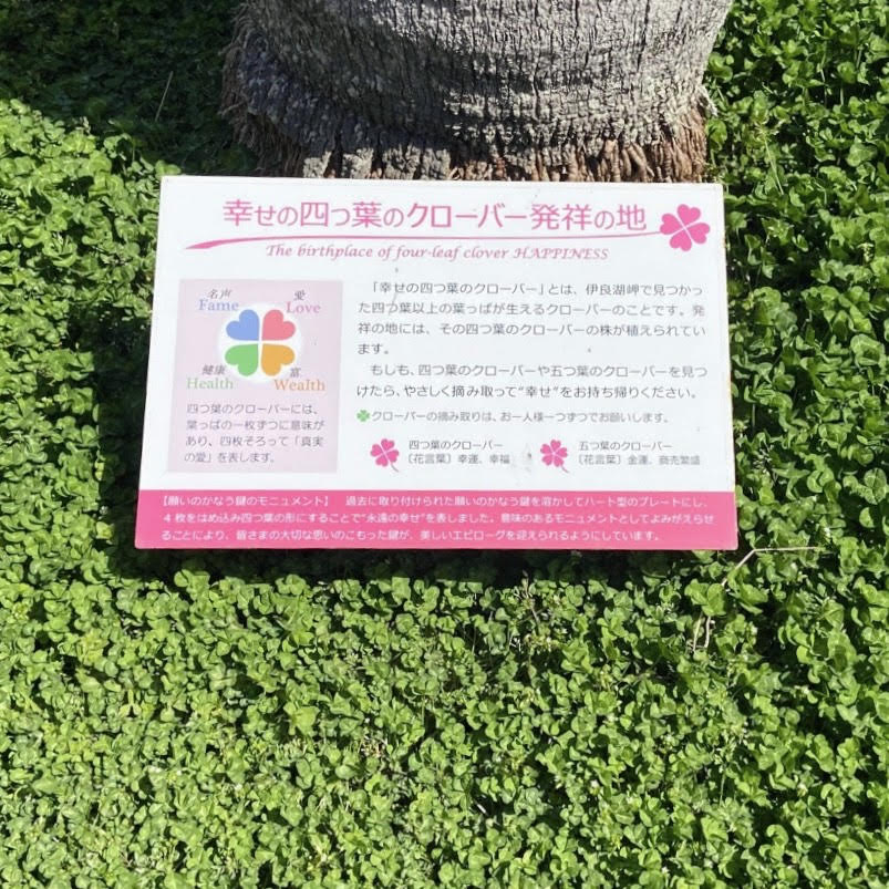 ハピハピ洗顔ソープ フェリシモ猫部コラボデザイン