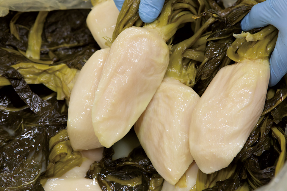 dancyu（ダンチュウ） グルメギフトカタログ＜CB＞