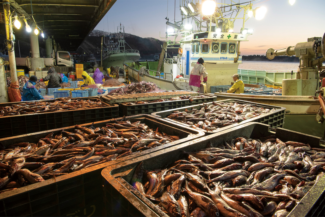 dancyu（ダンチュウ） グルメギフトカタログ＜CD＞