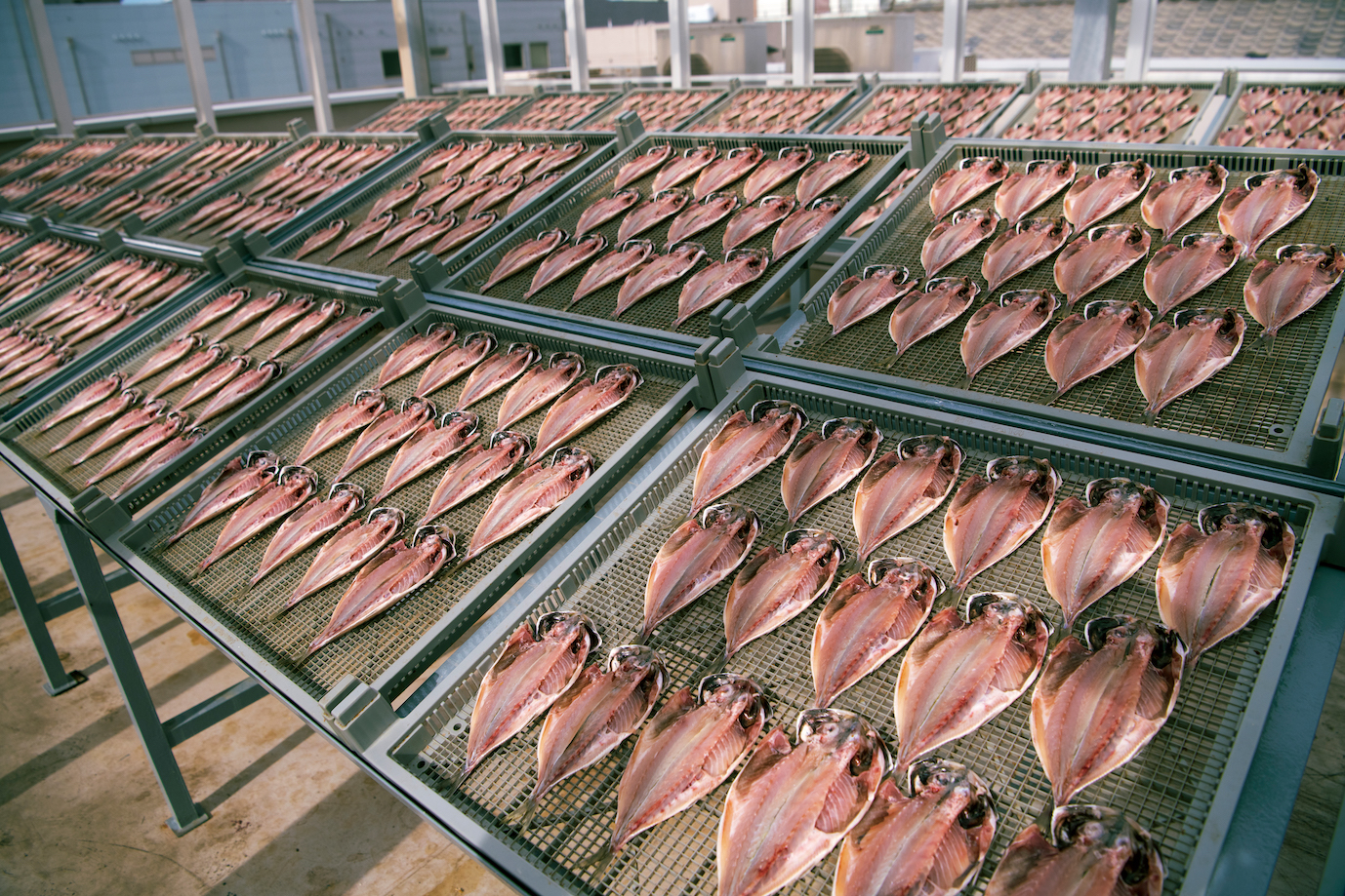 dancyu（ダンチュウ） グルメギフトカタログ＜CE＞