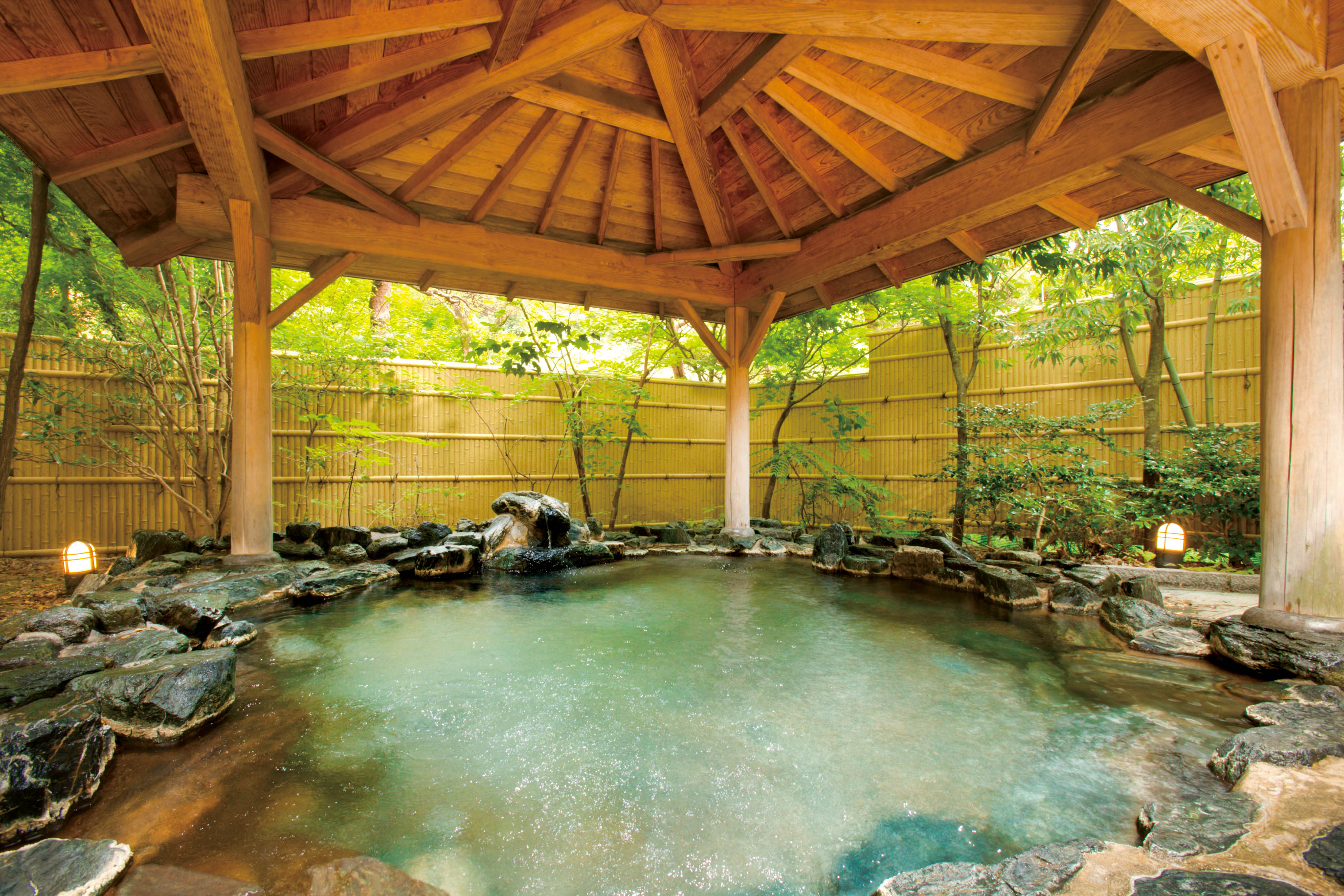 Mistral（ミストラル）＜マロウ＞