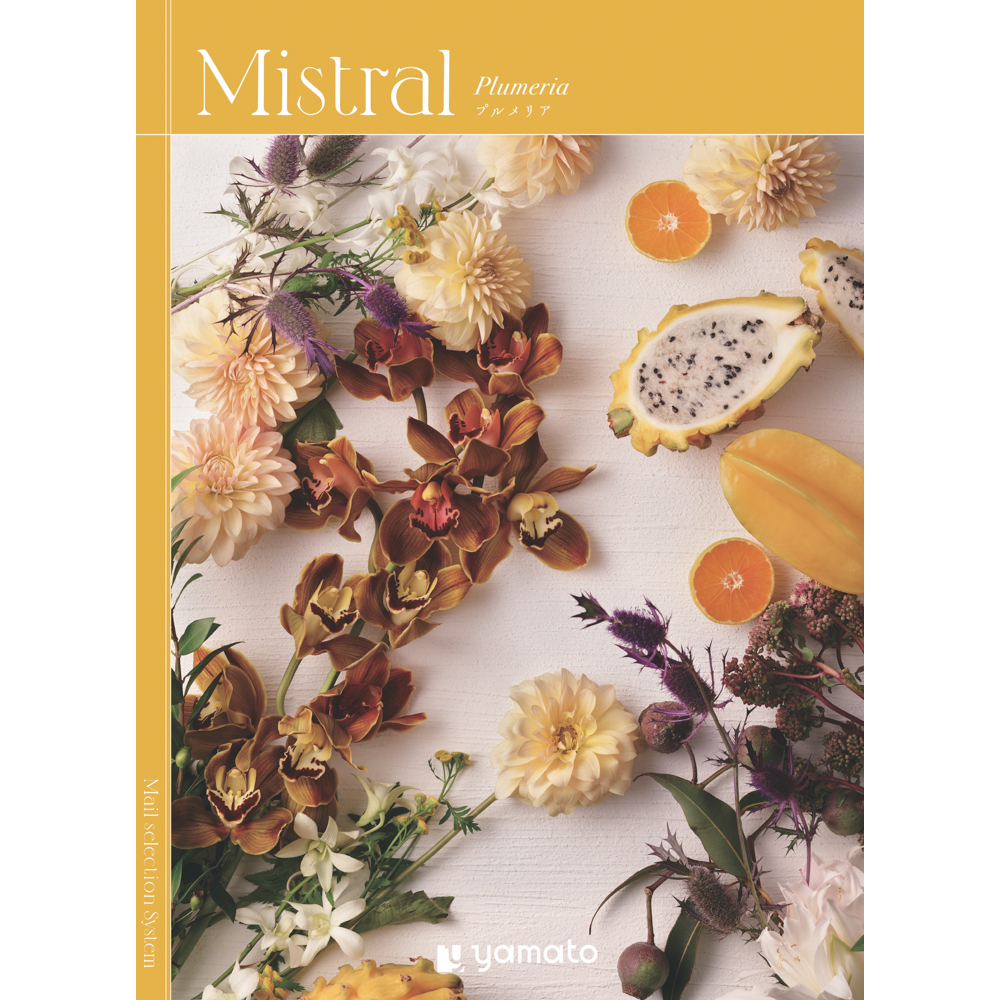 Mistral（ミストラル）＜プルメリア＞