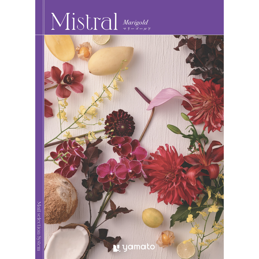 Mistral（ミストラル）＜マリーゴールド＞