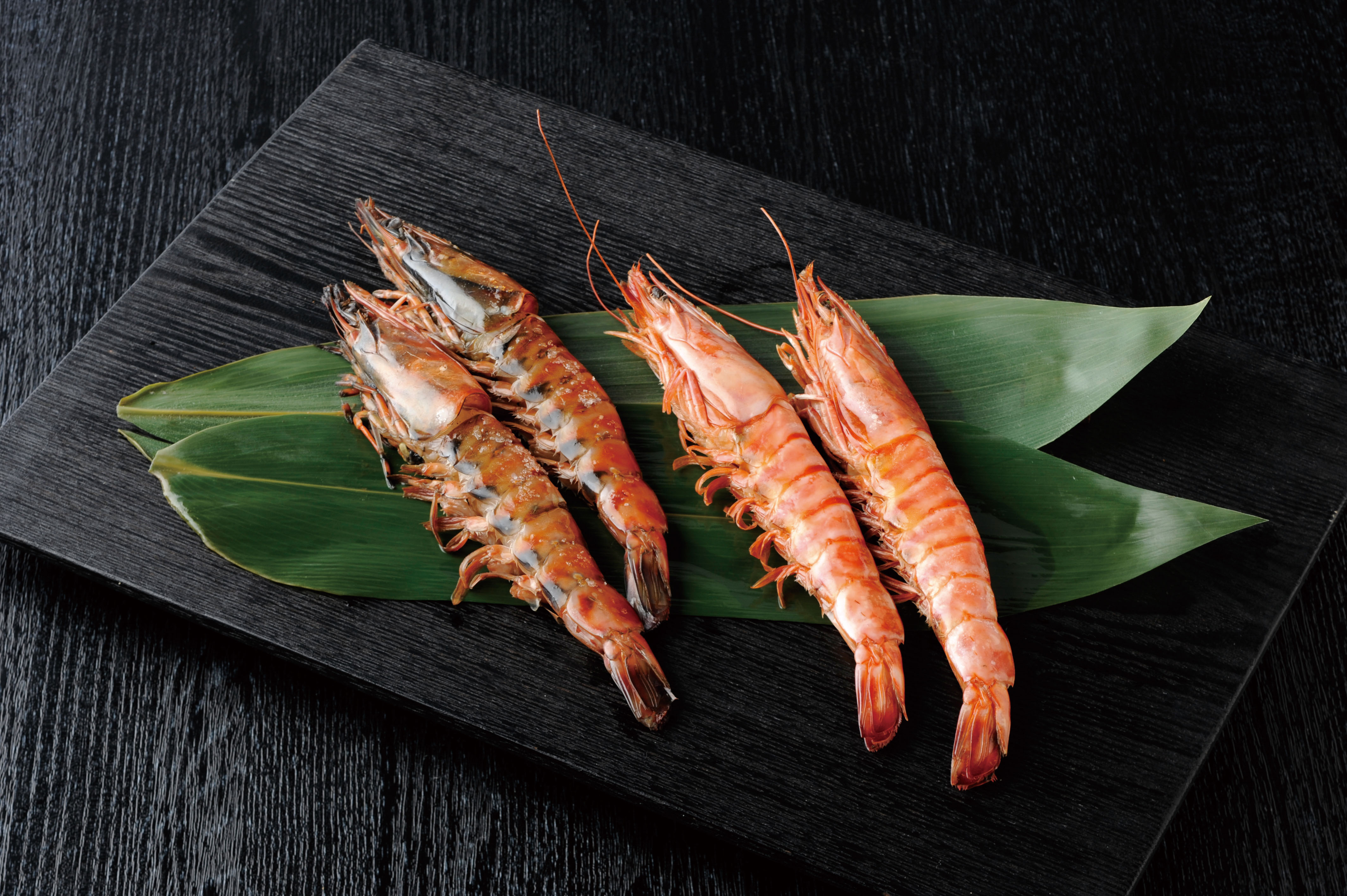 Mistral（ミストラル）＜セーブル＞