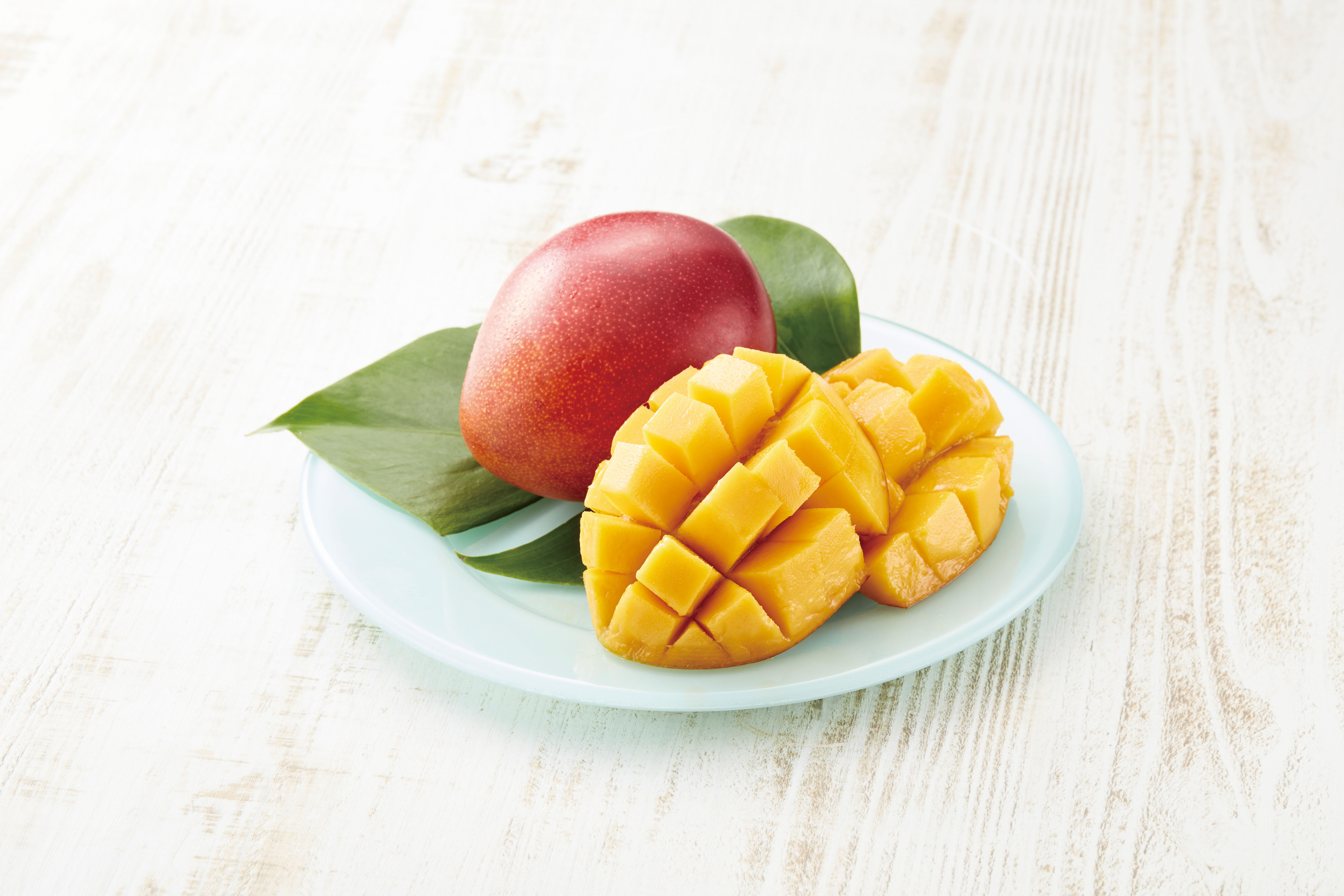 Mistral（ミストラル）＜セーブル＞