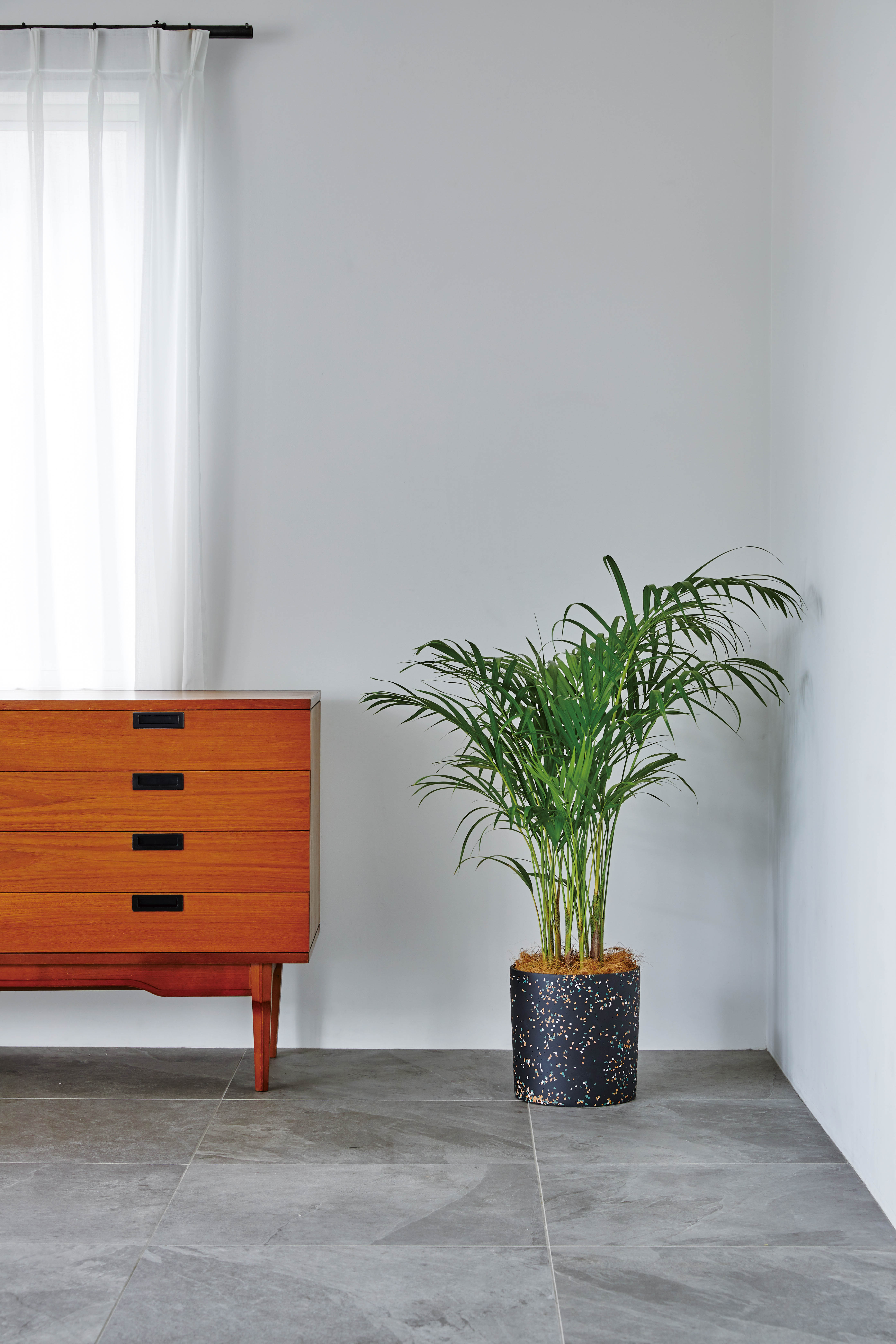 Mistral（ミストラル）＜スーニオン＞