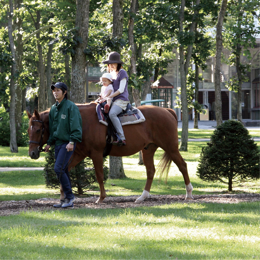 VENT OUEST（ヴァンウェスト） e-order choice＜シプレ-C＞