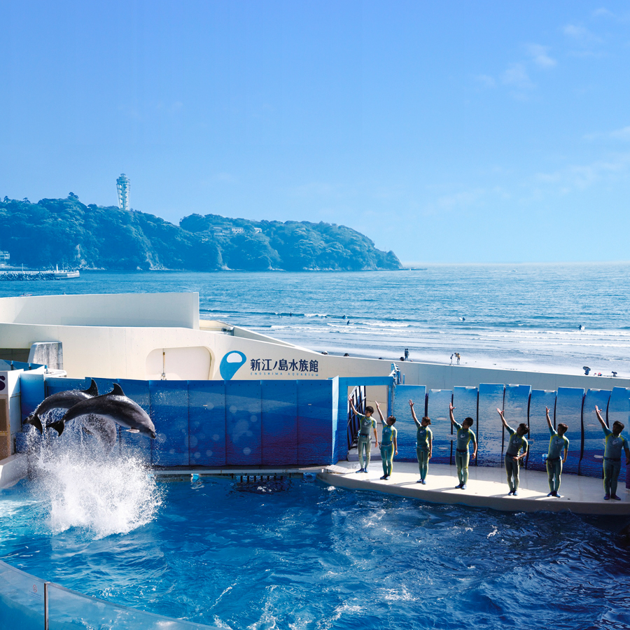 VENT OUEST（ヴァンウェスト） e-order choice＜ショコラ-C ＞