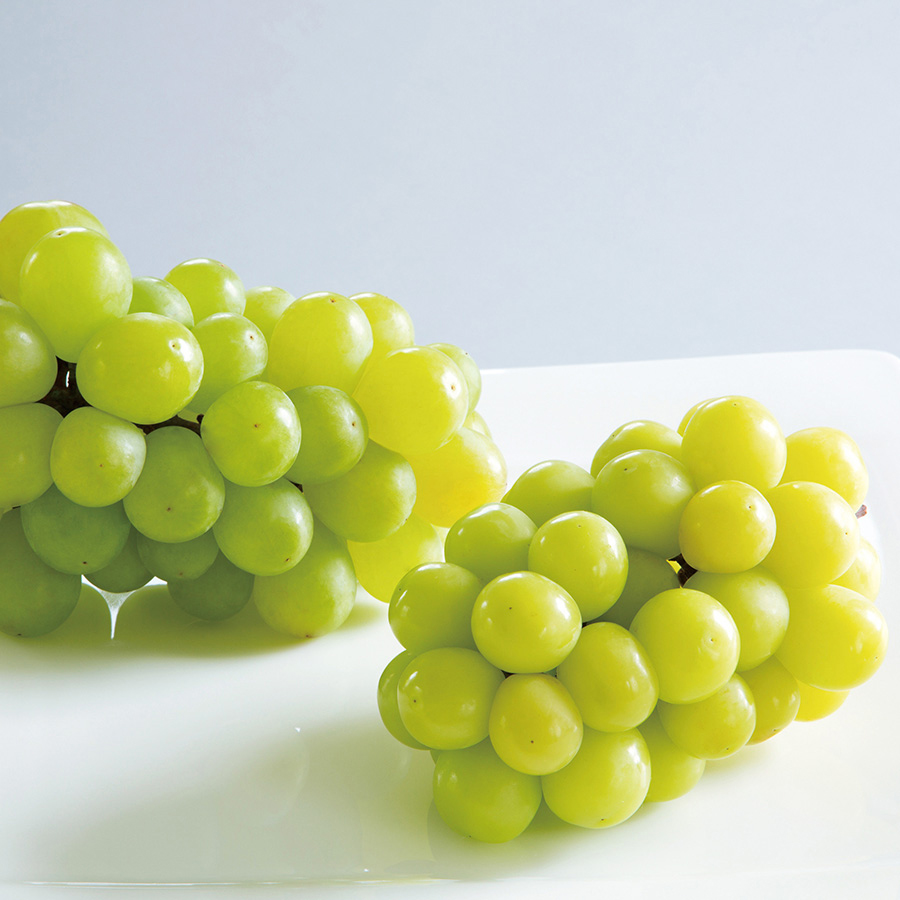 VENT OUEST（ヴァンウェスト） e-order choice＜モーヴ-C ＞